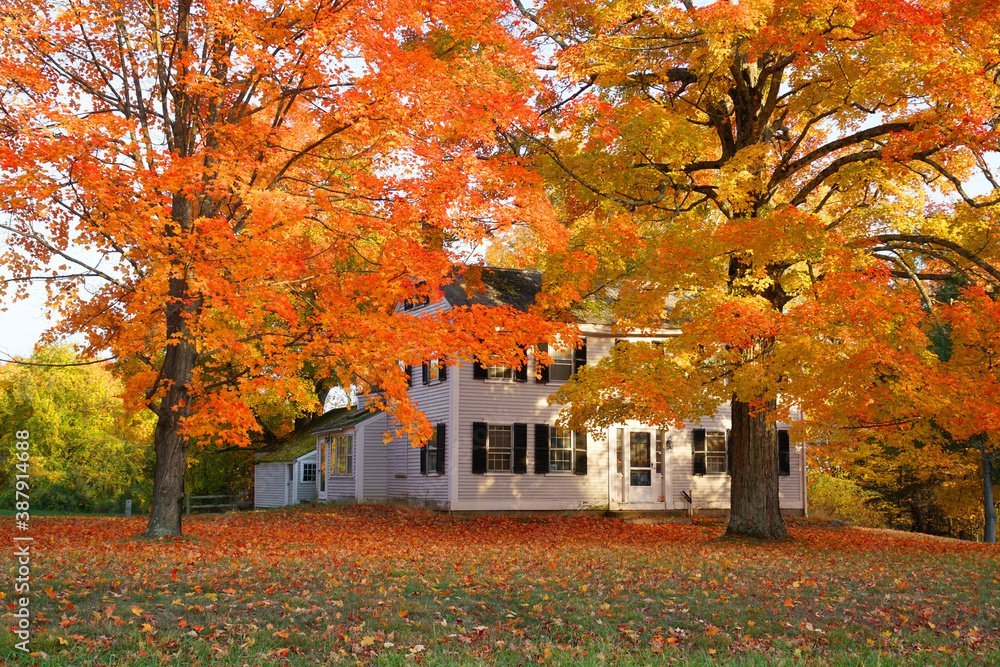 Ein Traumhaus am Stadtrand von Hamburg - Ihr Rückzugsort mit Meerblick